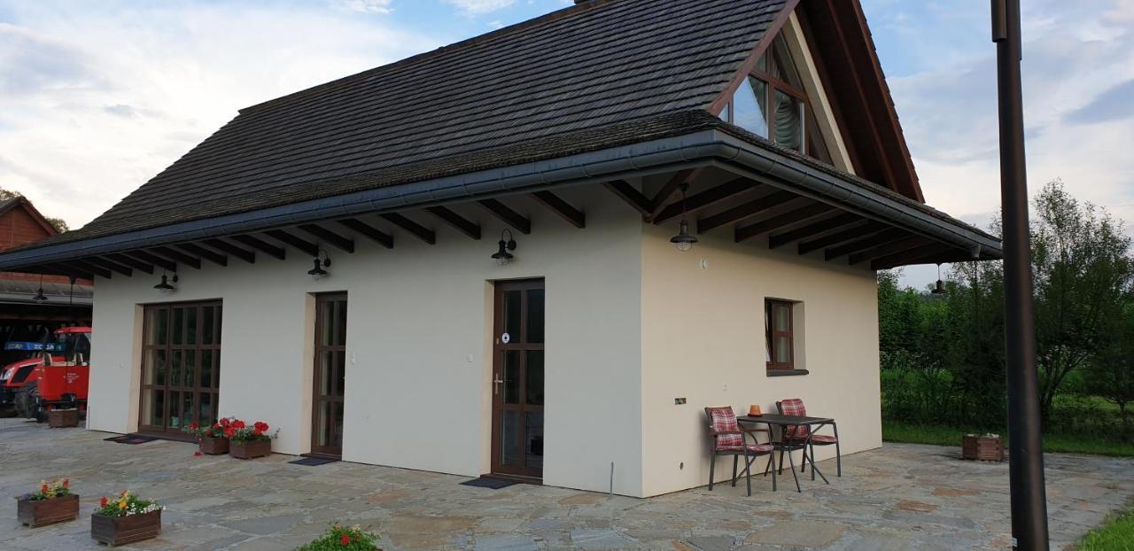 Villa W Dolinie Sanu à Lesko Extérieur photo